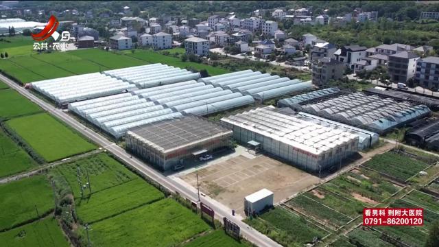 三农头条20251006