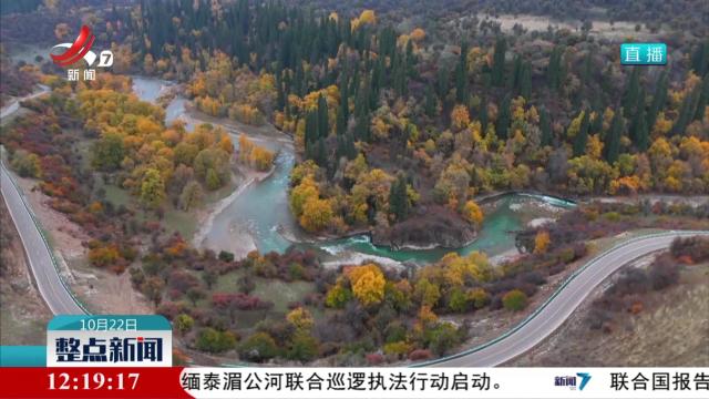 新疆伊犁萨哈野果林打翻“调色盘”