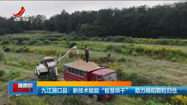 新闻晚高峰20251015