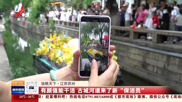 【放眼天下】江苏苏州：有颜值能干活 古城河道来了新“保洁员”