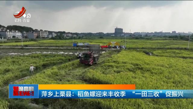 萍乡上栗县：稻鱼螺迎来丰收季 “一田三收”促振兴