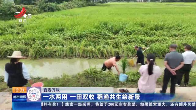 宜春万载：一水两用 一田双收 稻渔共生绘新景