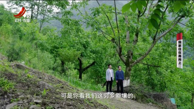 乡村栏目剧场20251004 我家住在高岗上