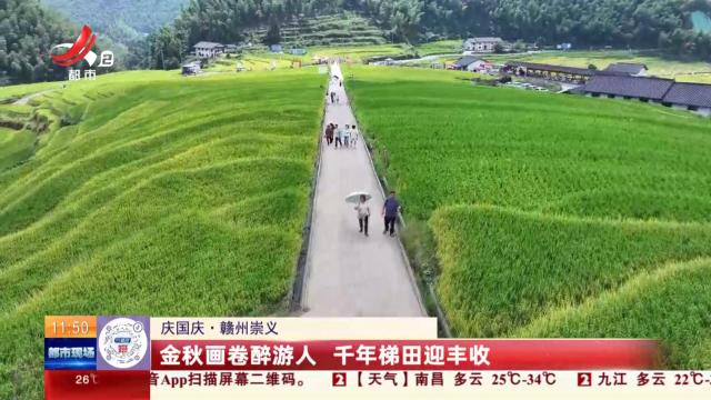 【庆国庆】赣州崇义：金秋画卷醉游人 千年梯田迎丰收