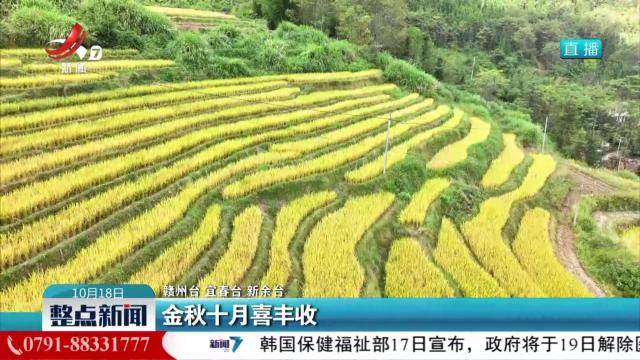金秋十月喜丰收