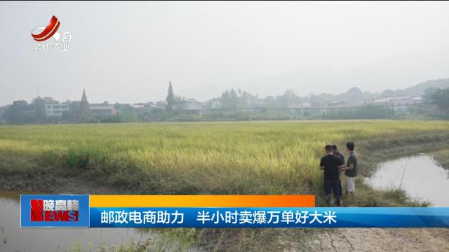 邮政电商助力 半小时卖爆万单好大米