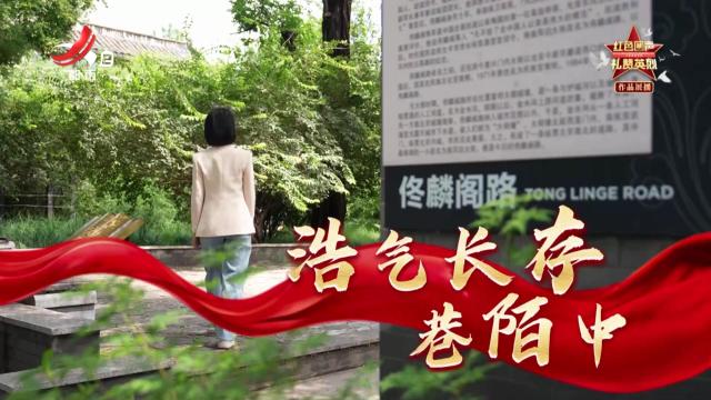 浩气长存巷陌中