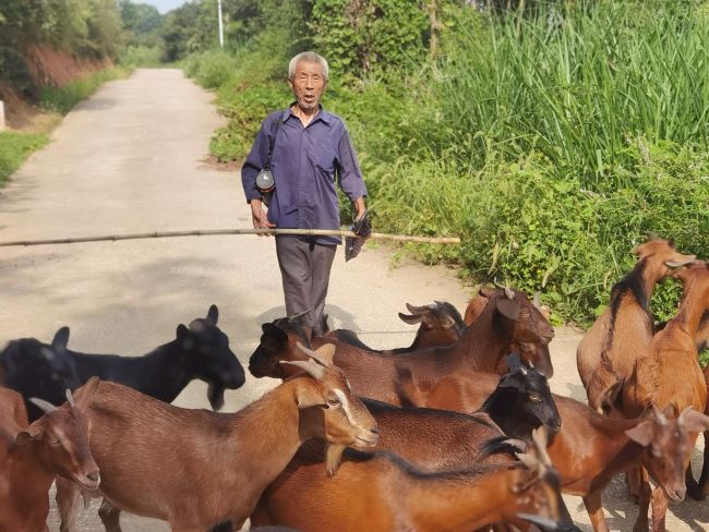党员刘金福：白发映青山 奋斗心不老