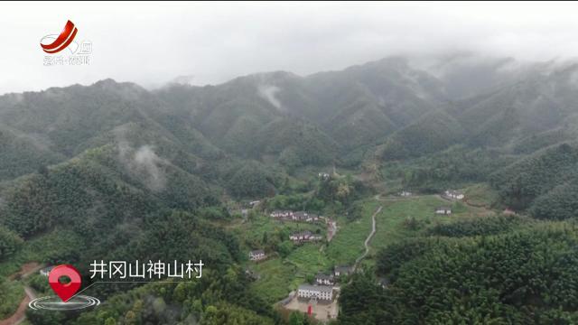 新闻晚高峰20251011