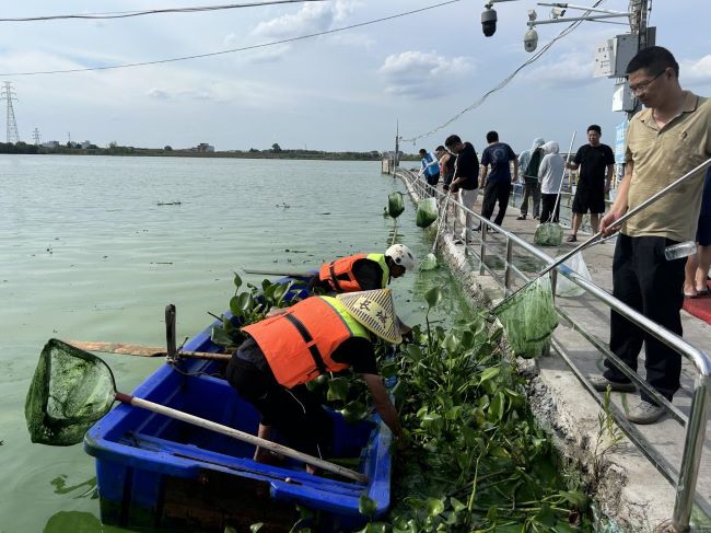 丰城市剑光街道应急分队高效处置赣江水藻突发事件 守护一江碧水