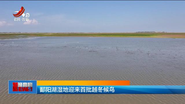 鄱阳湖湿地迎来首批越冬候鸟