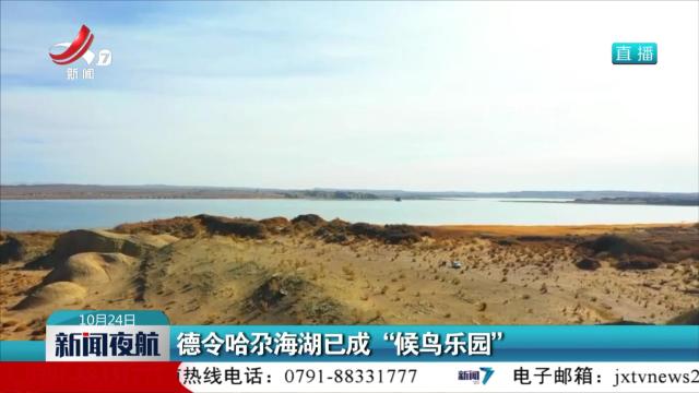 德令哈尕海湖已成“候鸟乐园”