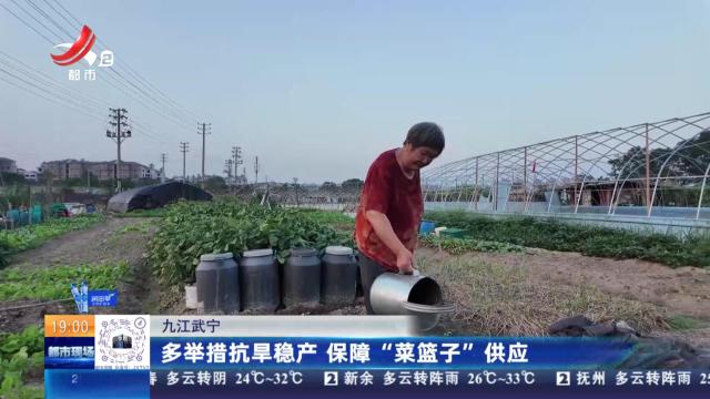 九江武宁：多举措抗旱稳产 保障“菜篮子”供应
