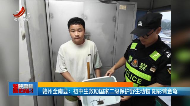 赣州全南县：初中生救助国家二级保护野生动物 阳彩臂金龟