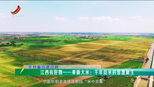 稻花香里20251021 【乡村振兴进行时】江西有好物——奉新大米：千年贡米的智慧新生