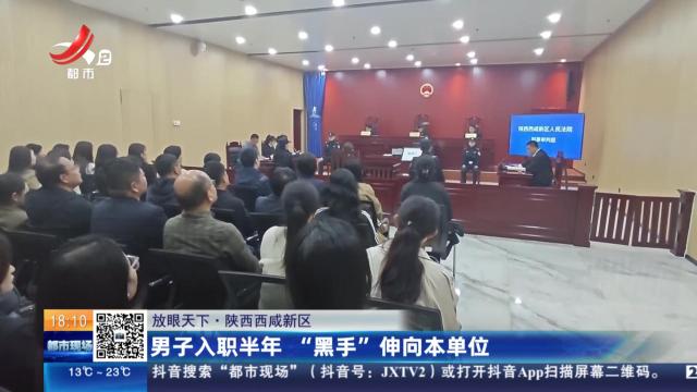 【放眼天下】陕西西咸新区：男子入职半年 “黑手”伸向本单位