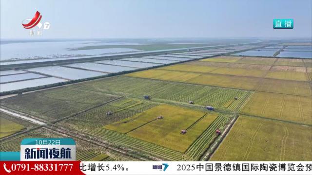 全国秋粮收获近八成