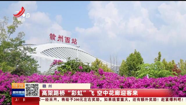 赣州：高架路桥“彩虹”飞 空中花廊迎客来