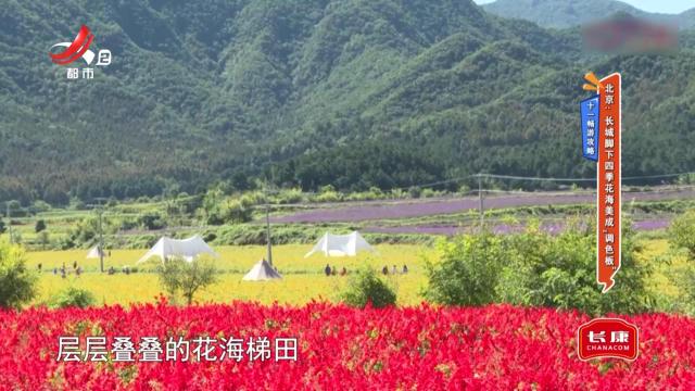 地宝当家20251006