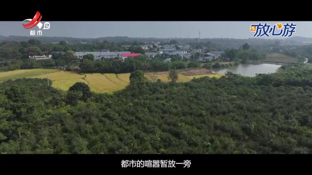 都市放心游20251019