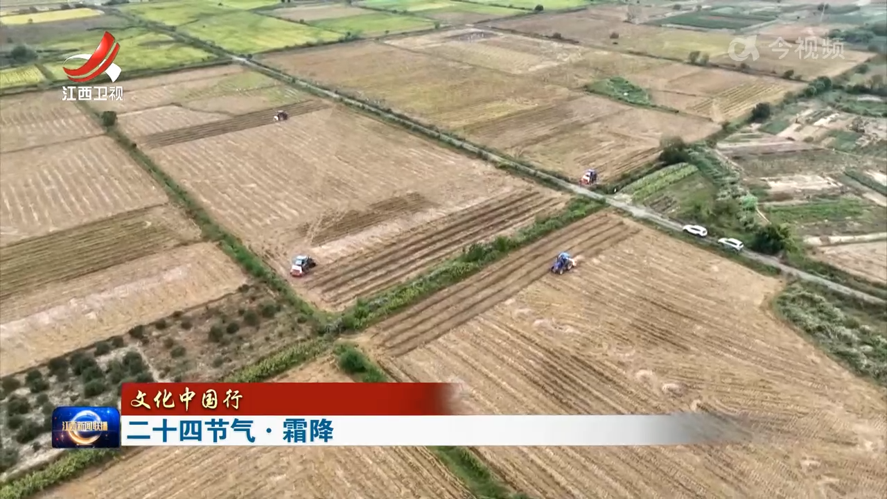 【文化中国行】二十四节气·霜降