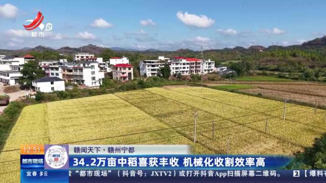 【赣闻天下】赣州宁都：34.2万亩中稻喜获丰收 机械化收割效率高