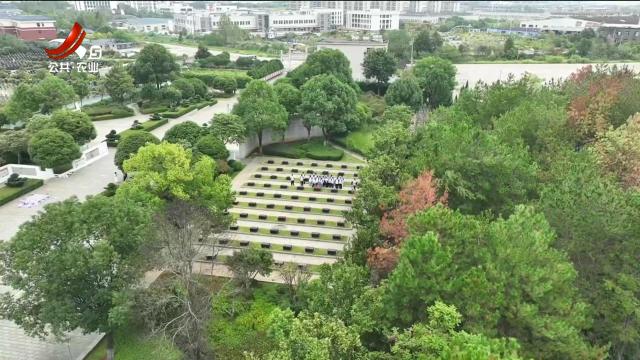 送您一支映山红20251005