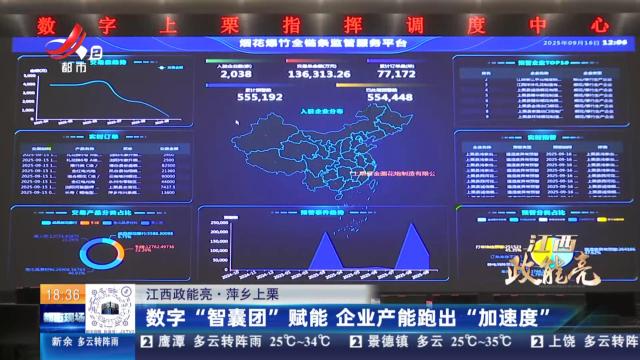 都市现场20251012
