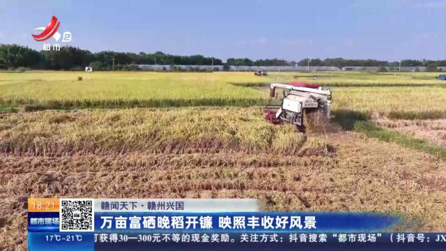 【赣闻天下】赣州兴国：万亩富硒晚稻开镰 映照丰收好风景