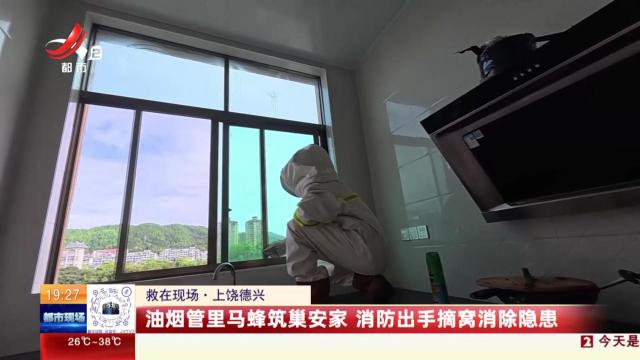 【救在现场】上饶德兴：油烟管里马蜂筑巢安家 消防出手摘窝消除隐患