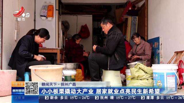 【赣闻天下】抚州广昌：小小板栗撬动大产业 居家就业点亮民生新希望