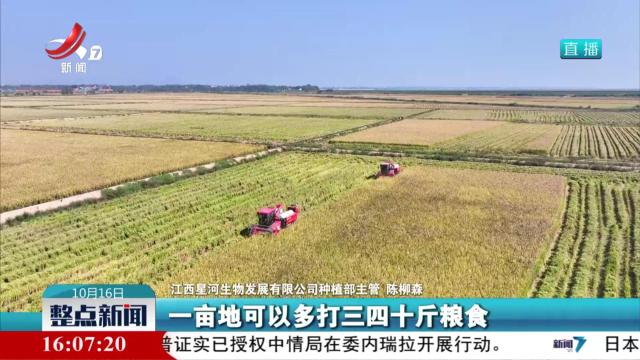 整点新闻20251016 16:00