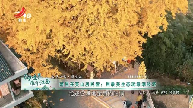 【又见江西·新生活】南昌在芙山房民宿：用最美生态玩最潮经济