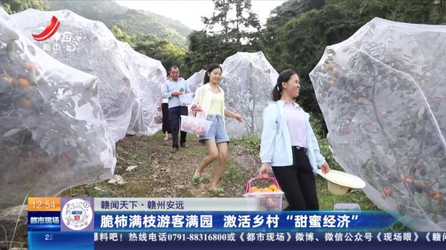 【赣闻天下】赣州安远：脆柿满枝游客满园 激活乡村“甜蜜经济”