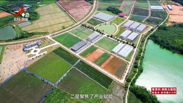 农问20251005