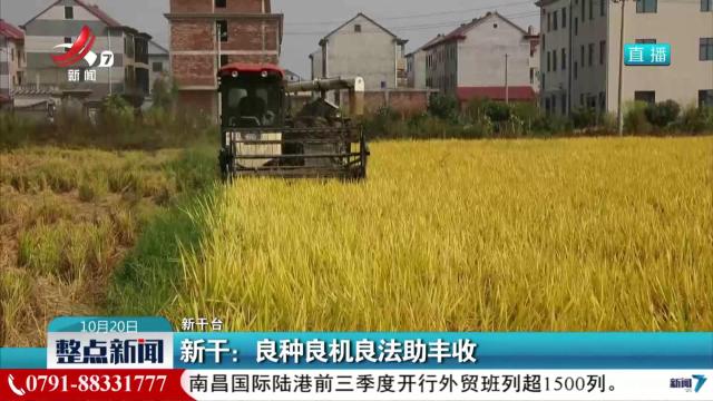 新干：良种良机良法助丰收