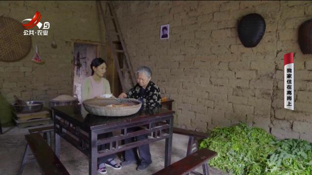 乡村栏目剧场20251002 我家住在高岗上