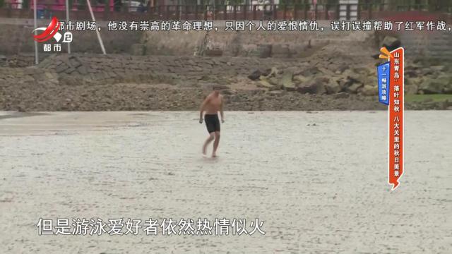 【十一畅游攻略】山东青岛：落叶知秋 八大关里的秋日美景