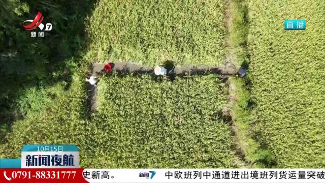 “一田双收”拓宽农户增收路