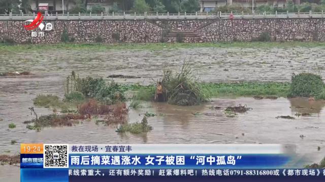 【救在现场】宜春宜丰：雨后摘菜遇涨水 女子被困“河中孤岛”