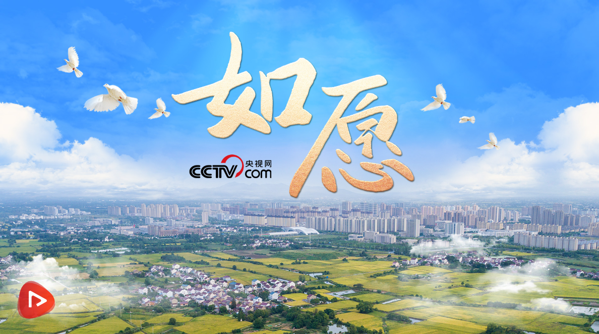 时政微视频｜如愿