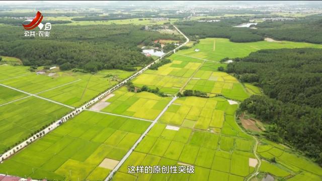 农问20251003