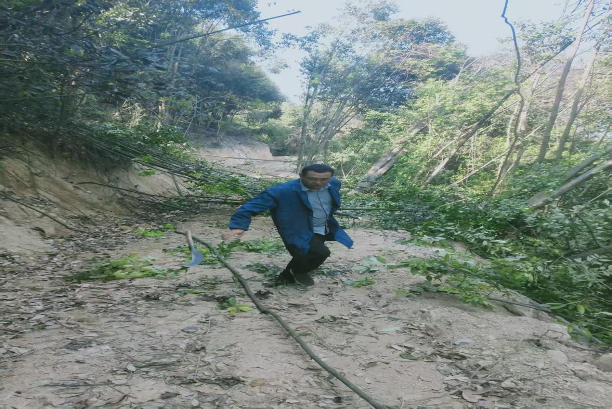 乐安县湖溪乡甘泉村党支部：为幸福食堂砍柴帮老人们温暖过冬