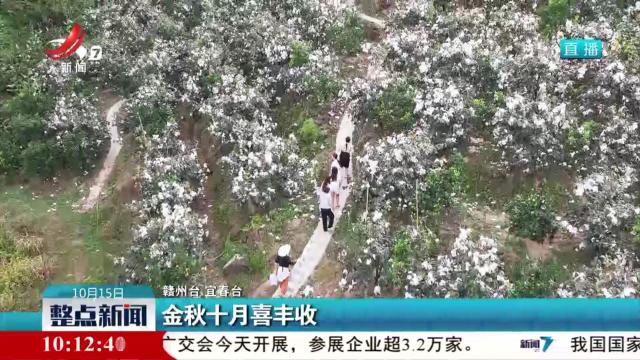 金秋十月喜丰收
