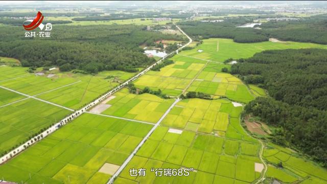 农问20251011