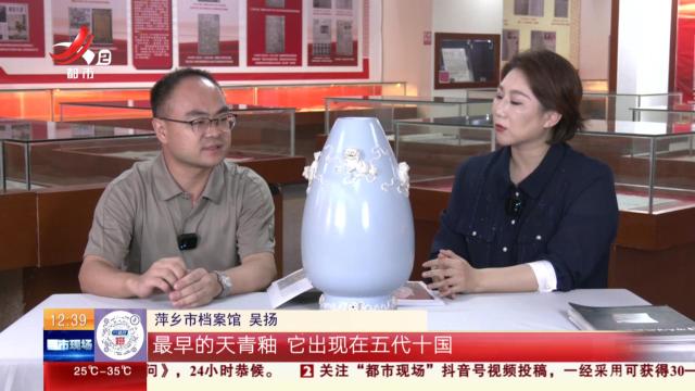【家有收藏·“私”博寻宝·萍乡市档案馆】这个尊瓶 为何说是萍乡窑的巅峰之作？
