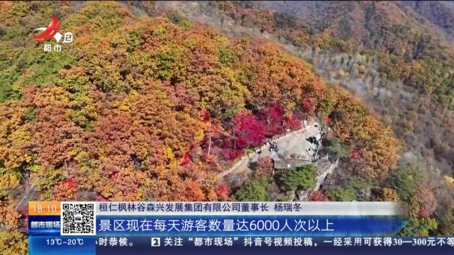 【放眼天下】枫红雪白入画来 巅峰美景引客潮