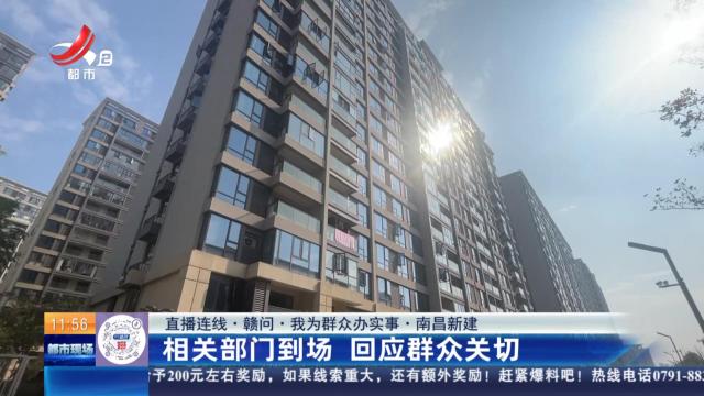 都市现场·午间版20251028