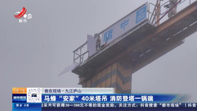 【救在现场】九江庐山：马蜂“安家”40米塔吊 消防登塔一锅端