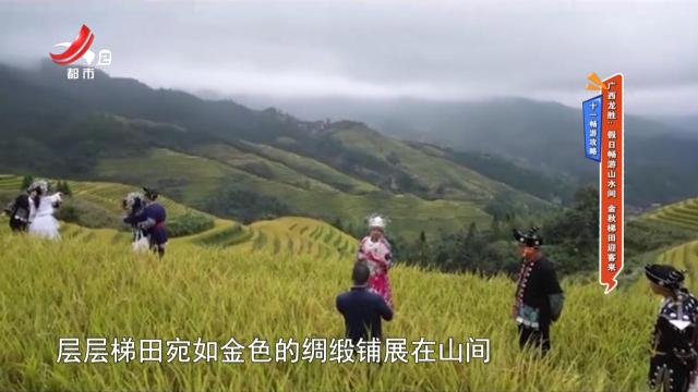 【十一畅游攻略】广西龙胜：假日畅游山水间 金秋梯田迎客来